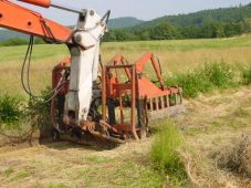 Ortsumgehung St 2148 Saulburg: Sodenverpflanzung